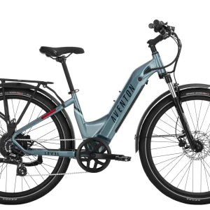 Level 2 Step-Through Ebike - Large / Glacier