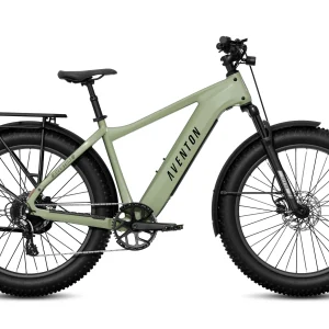 Aventure 3 Ebike - Large / Matcha