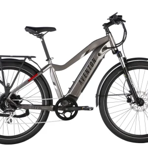 Level 2 Ebike - Large / Clay